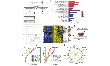 m6A靶向miRNA的泛癌分析