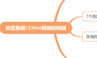炎癥ceRNA網絡的構建