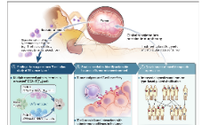 SXR202204021B+單細(xì)胞測序在腫瘤和腫瘤免疫治療中的應(yīng)用