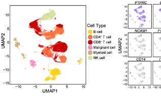 看作者如何分析鼻咽癌單細胞轉錄組數據發NC