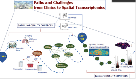 SXR202208001C+空間轉錄組組織制備的臨床挑戰