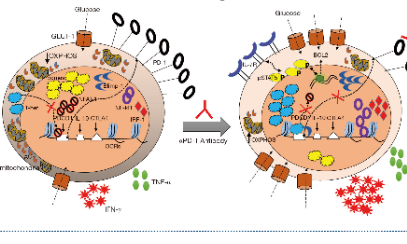 如何利用大佬的研究發(fā)表自己的文章