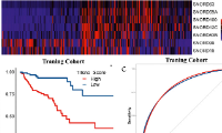 EBioMedicine：腫瘤免疫浸潤相關snoRNAs（TIIsno）預測結腸癌患者預后和免疫狀況