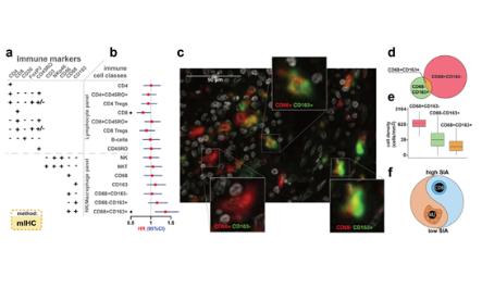 預后signature如何“樸素”的玩兒出花活兒？