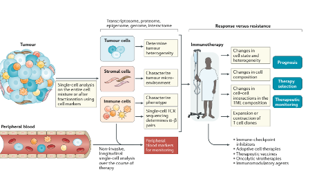 應用高維單細胞技術分析癌癥免疫治療