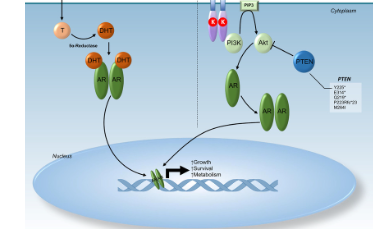 實錘了！男性天生就注定更容易死于癌癥