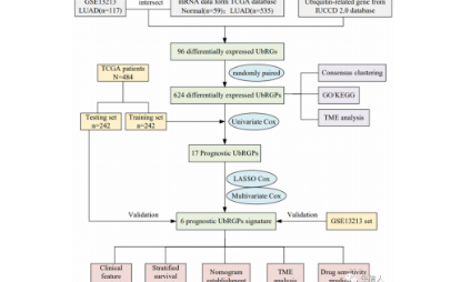 這次可千萬不要錯過研究泛素化的好時機