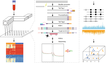 循環腫瘤DNA的精準檢測新技術 ELSA-seq | 深度甲基化測序