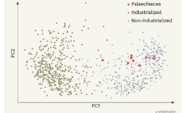 Ancient human faeces reveal gut microbes of the past