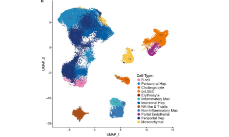 5分肝臟scRNA-seq和snRNA-seq比較