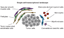 單細胞轉錄組揭示肺類癌的腫瘤微環境