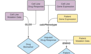 一個用于藥物反應(yīng)預(yù)測的R包