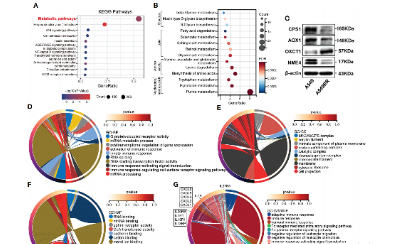 腫瘤代謝太復(fù)雜，生信如何破局？