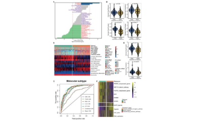 讓文章錦上添花的模型構(gòu)建后故事思路總結(jié)