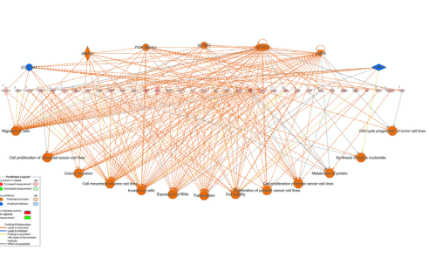 乳腺癌公共單細胞轉錄組數據分析發7+SCI