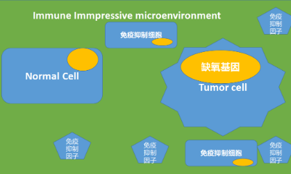 5+ 文章告訴你，缺氧基因如何與免疫相互結合