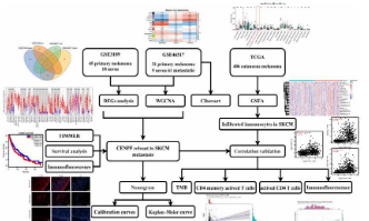 TCGA精選系列：轉移性皮膚黑色素瘤新生標志物