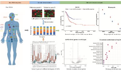 happy+使用TCGA研究癌癥相關成纖維細胞可以發9+SCI