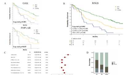 單基因純生信也能發32分?《ANNALS OF ONCOLOGY》keap1驅動的共突變在高腫瘤突變負荷下與免疫治療的關系