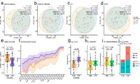 SXR202305011C-SHZ-Nature子刊：肺癌患者腸道念珠菌過度生長或與乳酸有關！