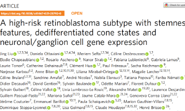 Nat Commun|多組學研究識別具有干性特征的高風險視網膜母細胞瘤亞型--去分化的錐體狀態以及神經元細胞基因表達