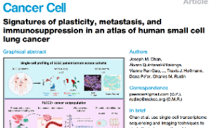 Cancer Cell|十一月最新干濕結合-肺癌免疫微環境亞型結合單細胞的腫瘤異質性研究