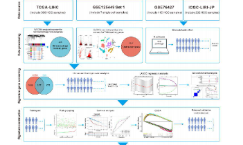 腫瘤相關巨噬細胞頂流思路推薦，拒絕塌房