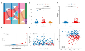 別反復(fù)說(shuō)焦亡是熱點(diǎn)，我已經(jīng)知道了，  你就告訴我怎么做吧。