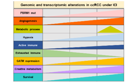SXR202205010C-橘子-6+多組學(xué)免疫治療