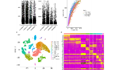 腫瘤相關成纖維細胞的純生信沖上27分啦！