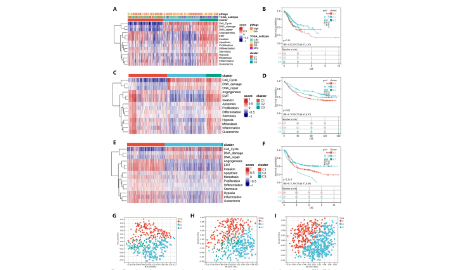 SXR202302011C+胃癌分子亞型還能發8+？！