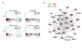 SXR202204036C+調(diào)節(jié)性T細(xì)胞轉(zhuǎn)錄重編程刻畫實(shí)體腫瘤中檢查點(diǎn)抑制劑的不良反應(yīng)