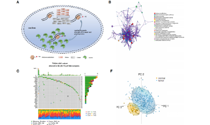 思路易得，新意難覓的基因家族分析又該何去何從？