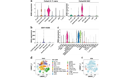2022年最新腫瘤相關成纖維細胞(CAFs)生信思路多角度總結