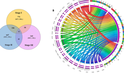 都2022年了，阿三還這樣玩