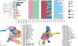 SXR202305016C+影響因子10+泛癌T細胞整合研究，10+純生信！！