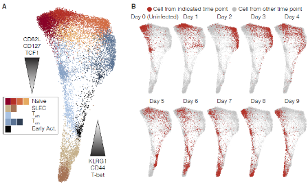 高分文章簡單做之質譜流式