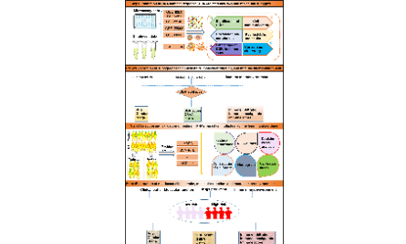 SXR202302030C-哈哈-DDR在阿爾茲海默癥中扮演著何種角色？