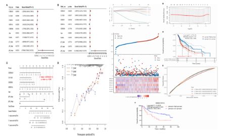 5分+腫瘤預后模型 邏輯清晰內容豐富