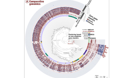 2021年歲末biorxiv生信好文速覽