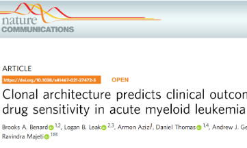 Nat Commun|克隆結(jié)構(gòu)預(yù)測(cè)急性髓系白血病的臨床結(jié)果和藥物敏感性