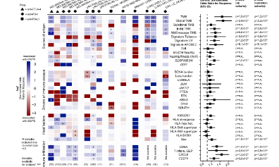 如何利用meta分析發頂刊