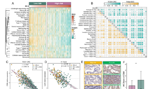 中科院一區17+的文章如何輕松拿捏？