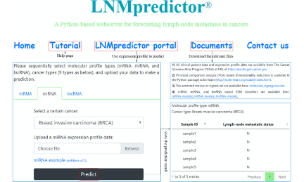 機(jī)器學(xué)習(xí)預(yù)測(cè)癌癥淋巴結(jié)轉(zhuǎn)移狀態(tài)