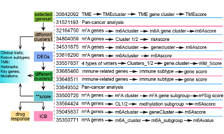 三人行必有我師：m6A regulators整合生信分析又又又來了！