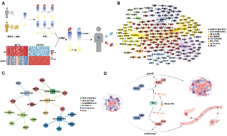 利用單細胞技術開發評估胰腺導管腺癌轉移風險的方法