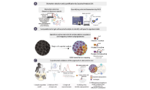 腫瘤進化與耐藥性的單細胞分析