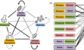 BERT在生物醫學領域的新應用