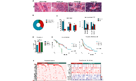 2021年TCGA還能發17+
