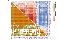 表達譜研究HRD，如何發10+